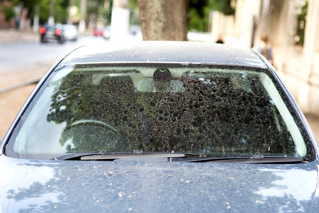 Mobil Araç Yıkama Hizmetinin Avantajları